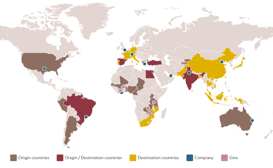 Our Global Presence